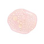 Масло для лица It Cosmetics, 30 мл - фото 3