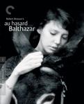 Диск Blu-ray Au Hasard Balthazar - фото