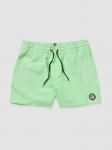 Пляжные шорты Volcom Lido Solid Trunk 16 Boardshorts, jade cream - фото