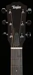 Taylor 212ce Walnut/Spruce (249) - фото 5