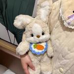 Плюшевая кукла кролик щенок высота 30см Nodding Bud Bug - фото 6