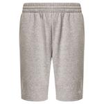 Шорты Oakley Relax 2.0, серый - фото