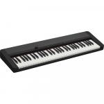 Casio CT-S1 61-Key Portable Digital Piano Essentials Kit (Black) - фото 2