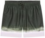 Шорты Dries Van Noten Printed Swim Short 'Bottle', разноцветный - фото