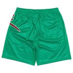 Шорты Supreme Big Script Mesh Short, зеленый - фото 2