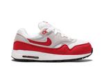 Кроссовки Nike Air Max 1 TD 'Air Max Day', белый - фото