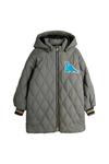 Детская куртка «Дино» Mini Rodini, серый - фото 2