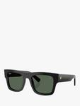 Солнечные очки RB2217 Square Ray-Ban, Black - фото