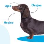 Влажные салфетки СУМСУ с хлоргексидином для собак и кошек 25 полотенец SUMSU - фото 5