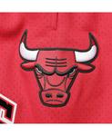Мужские сетчатые капсульные шорты Red Chicago Bulls Pro Standard - фото 5