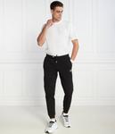 Штаны спортивные мужские Ea7 Regular Fit с логотипом, черный - фото 2