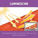 Кондиционеры, Goldwell - фото 3