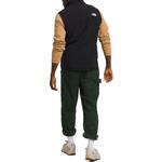 Жилет мужской черный The North Face, черный - фото 3