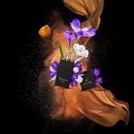 Парфюм Coquillete Paris Olauna 100мл - фото 3