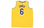 Майка Nike x NBA LA Lakers Jerseys 'LeBron James 6', желтый - фото 3