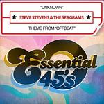 CD диск Stevens, Steve & Seagrams: Unknown / Theme From Offbeat (digital 45) - фото