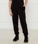 Брюки Regular fit Ea7, черный - фото