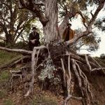 Диск CD Miles - Blu & Exile - фото