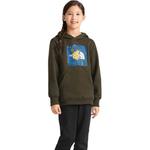 Детская толстовка The North Face, хаки - фото 4