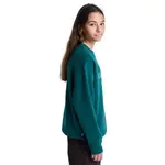 Детская толстовка Central Lowcase Cr Y Element, зеленый - фото 3