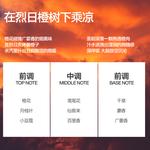 Мужской ароматические гель для душа очищающие попурри MAKE ESSENCE - фото 4