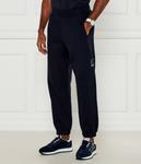 Спортивные штаны мужские Ea7 с логотипом, темно-синий - фото