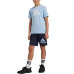 Adidas Шорты Essentials Legend Ink/Pink Blue - фото 3