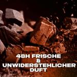 Деоспрей Дарк Искушение 150 мл AXE - фото 4