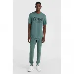 Спортивные брюки O´neill Small Logo, зеленый - фото 5