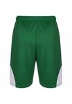 Спортивные шорты Spalding JAM BASKETBALL, Green White/Green - фото 2