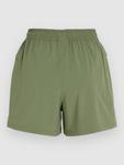 Шорты O'Neill Trvlr Stretch Shorts, deep lichen green - фото 2