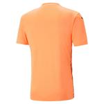 Джерси Puma Men's TeamULTIMATE 705371 - фото 2