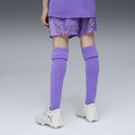 PUMA Шорты для тренировок Regular 'Olympique de Marseille 25/26' в цвете Purple, Lilac - фото 6