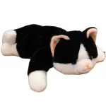 Плюшевая игрушка Cartoon Cute Creative, Daimeng Cat OU DI PIG, черный - фото