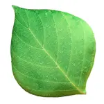 Искусственный лист кукла Bitter purchase - фото 4