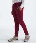 THE NORTH FACE Мужские джоггеры Heritage Patch, Beetroot/Heritage Patch - фото 2