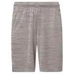 Шорты Oakley Foundational 9´´ 3.0, серый - фото 3