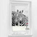 Рулонные шторы Lichtblick Zebra, 80x150x6 см, черно-белый - фото 2