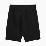 Мужские шорты Pitbull Sampson - фото 2