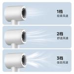 Фен Royalstar, Rc-210X Plain - фото 5