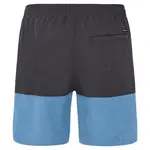 Шорты для плавания Protest Freddie, серый - фото 2