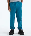 Брюки Evolution Simple Dome для мальчиков и девочек The North Face, Dusk Blue - фото 2