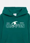 Худи с графическим принтом Champion, Green - фото 3