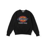 Толстовка American DK0A87F1 Unisex Dickies, Тёмно-синий - фото