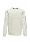Толстовка Salsa Jeans Sweatshirt, Perle/White - фото 5