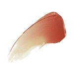 Помада Douglas Collection, nr. 22 toasty brick, 3 гр - фото 3