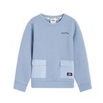 Детская толстовка Dickies, Тыква - фото