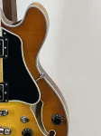 Eastman T484 Goldburst 2024 - фото 7