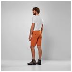 Шорты Salewa Talveno Durastretch, цвет Black Out - фото 4