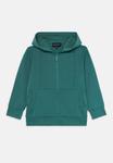 Худи Emporio Armani UNISEX, Silver Pine/Dark Green - фото